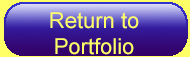 Return to Portfolio Button
